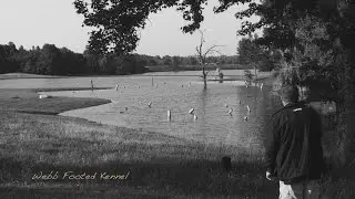 Webb Footed Kennel - Indie Strickland