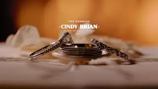 The Wedding of Cindy and Brian | The Villa | Westminster, CA