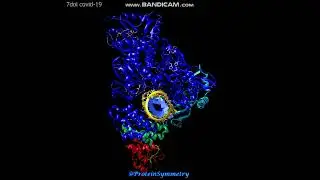 Structure of COVID-19 RNA-dependent RNA polymerase