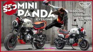 รีวิว Cyclone Mini Panda 150