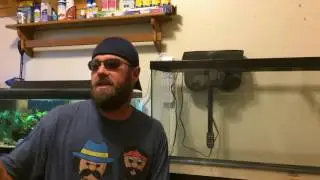 Fish Behind Glass Ep. 9- A Big Bare Bottom