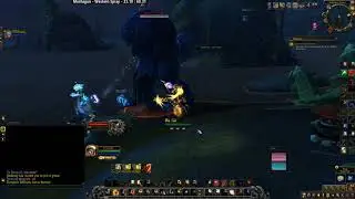 Paol Pondwader | 8.2 Mechagon Rare Elites