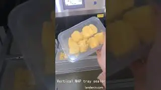 2 types of MAP modified atmosphere packaging machines for jackfruits fresh cut vegetables and fruits