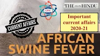 African swine fever - current affairs