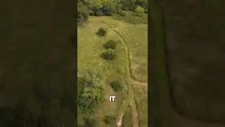 Rochester, MN Land Opportunity | 35+/- Acres with Stunning Views & Development Potential!
