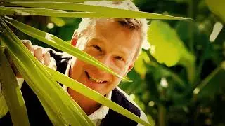 Cayo Levantado - Helge Heggblum
