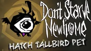 Don't Starve New Home - How to hatch Tallbird pet (GAMEPLAY)