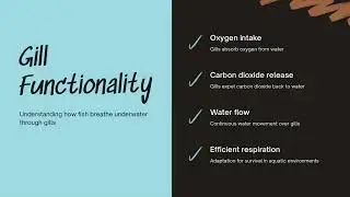 Understanding the process of oxygen intake and carbon dioxide release Snap-1