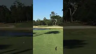 Island Time Means No Relaxation at TPC Sawgrass #golf #golfshorts #tpcsawgrass