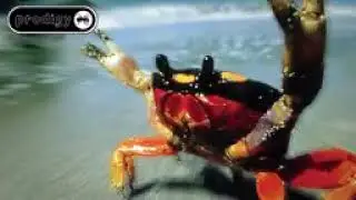 Nome canale: The Prodigy &mdash; Smack My Bitch Up Extended 144p