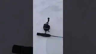 Мороз та шквальний вітер #fishing #fishing #wildlife #fish #спінінг #icefishing #winter #angler