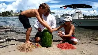 1,000 RUBBER BANDS vs WATERMELON! (MASSIVE EXPLOSION)￼