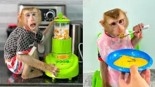 Monkey Kaka was very happy to enjoy the mango smoothie that his dad made.