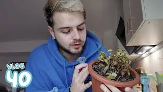 RUPER nos ha dejado para siempre 🌱💀