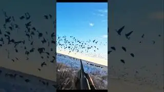 Охота в РоссииРусская охота в дикой природеОхота в лесах РоссииЭкстремальная охота#hunter#wildlife