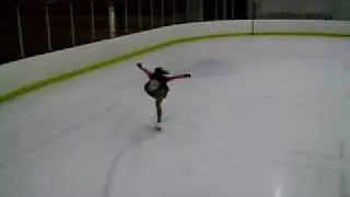 flying camel.AVI