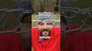 Tradycyjne szkolenie ps&oacute;w. #behawiorysta #pies #szkoleniepsa