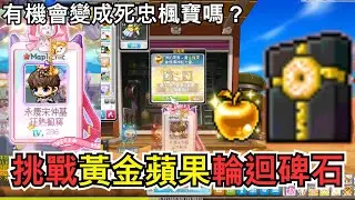【新楓之谷】挑戰黃金蘋果輪迴碑石🔥有機會成為死忠楓寶嘛🙂幸運車庫是否還能起舞！？不知不覺MVP又給他上鑽了😅
