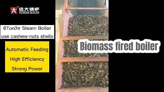 Cashew Nuts Shells Boiler, Cashew Nut Factory Boiler, 6ton/hr Biomass Steam Boiler System