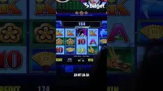 💰 Жена в криптоказино #shorts #bitcoin