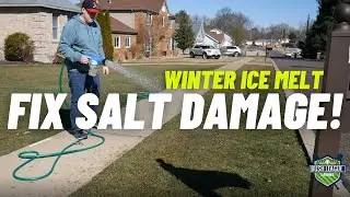 How To FIX Lawn Damage from Road (ROCK) Salt!