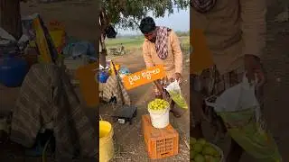 Who will solve the problems of farmers? #villagelife #savefarmers #farmers #friends #freshfruits ...