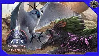 Tek Schwert?, Turkey Trials Light und Custom Cosmetic Frisuren - Ark Survival Ascended - ASA