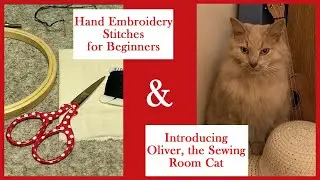 Hand Embroidery Stitches for Beginners/Introducing Oliver, the Cat/Slow Stitching