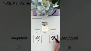 Simplified VS Traditional Chinese - (书 & 書) #chinesecalligraphy #chinesecharacters #language #shorts