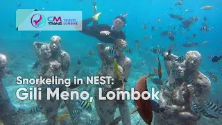 Snorkeling at Nest Gili Meno Underwater Statues in Lombok Indonesia