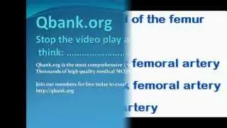 USMLE step1 and MRCP part1 Anatomy MCQs Qbank 1