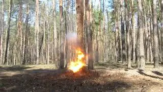 Пикриновая кислота, 10гр.