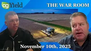Catching a Falling Knife? Cattle Hedging, & Macro Forces The War Room: Monday, November 10th, 2025