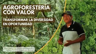 Agroforestería con valor: Transformar la diversidad en oportunidad