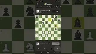chess playing