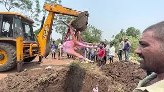 SAMARASIMHA’s last rites🙏❤️