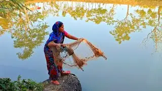 Traditional Village Boudi Fishing with Net in Pond along palm tree root.