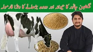 Wanda Formula For increase Udder Size Of Cow || Wandy Se Janwar Ka Hewana Barha Karny Ka Formula