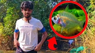 (Day- 06) I Caught a Glass looking Transparent Fish from Wild [ WINTERS ARK VILLAGE ]