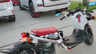 Honda Ruckus 9.5 inch STRETCH