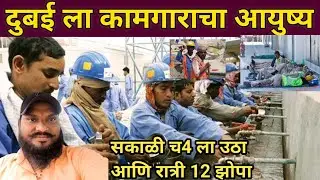 दुबईला 😭 कामगारा चा आयुष्य कसं असतं बघा दुबईला कामाला यायचं आहे का तर हा व्हिडिओ नक्की बघा