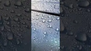 Shiny raindrops! #shorts #subscribe #fyp #trending