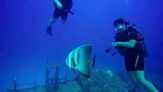 Diving Mauritius Lesson 4 Deep Dive on Silverstar with Ocean Spirit in Mauritius