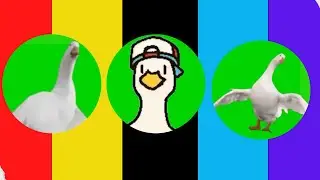 Waka Waka (This Time for Africa)  100% Duck dance
