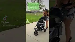 Petique pet strollers come with adjustable leashes inside to keep your pets safe and secure💚 #dogs