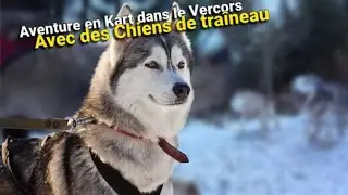 Dans le Vercors avec des chiens de traîneau ❄️ On a tenté l'aventure