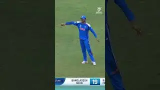 Vihaan Malhotra's stunning catch wraps up India's win 🤩 #U19WorldCup #CricketShorts