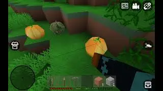 Mini block craft survival: Day 3 (Audio not included)