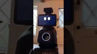 ORo: Your New Robotic Pet Companion