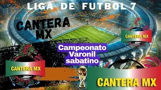 Liverpool vs Brasil